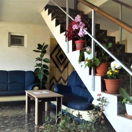 Vila Nico コスティネシュティ エクステリア 写真