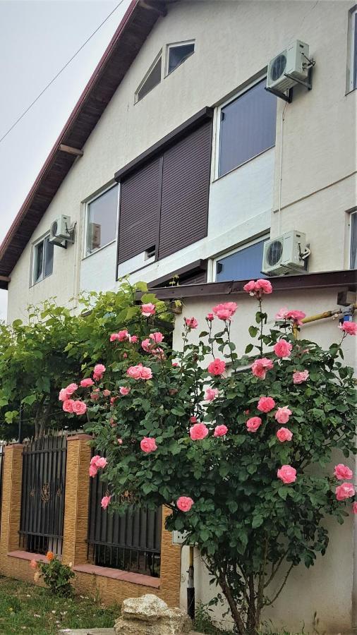 Vila Nico コスティネシュティ エクステリア 写真
