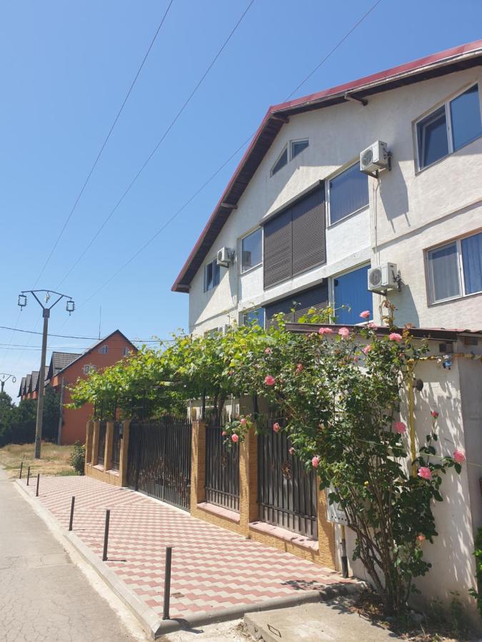 Vila Nico コスティネシュティ エクステリア 写真