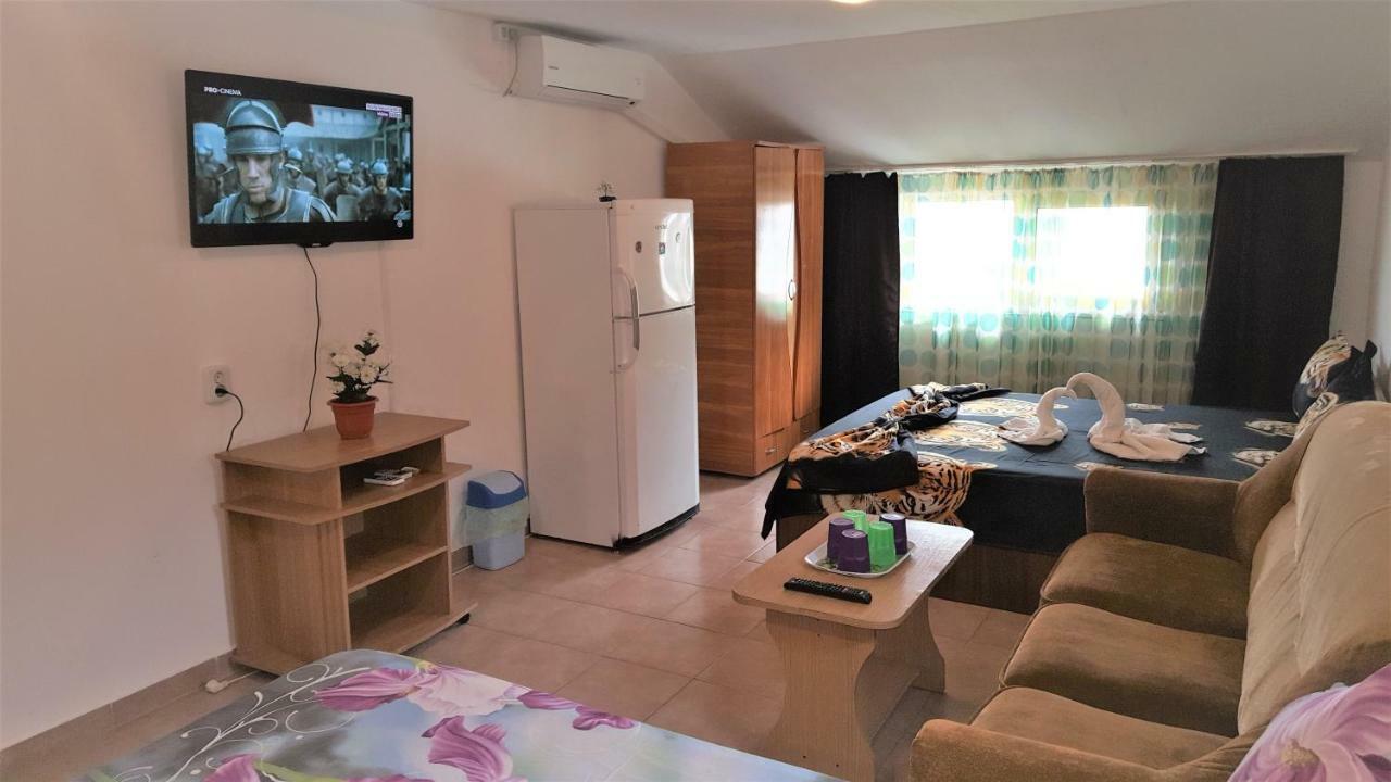 Vila Nico コスティネシュティ エクステリア 写真